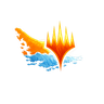Magic Market